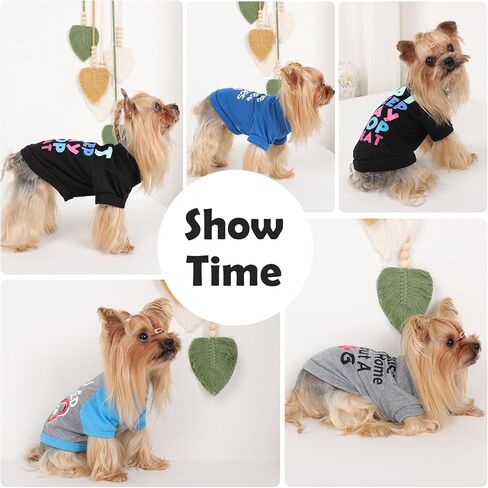 4Pack Dog Dorts for Dogs Small Girl Boy Dog Shirt Sit Soft Swaysy Puppy Clotherless Sweetshirt switshirt small outfit to Chihuahua Yorkie ، XS ، Group2 in Kuwait