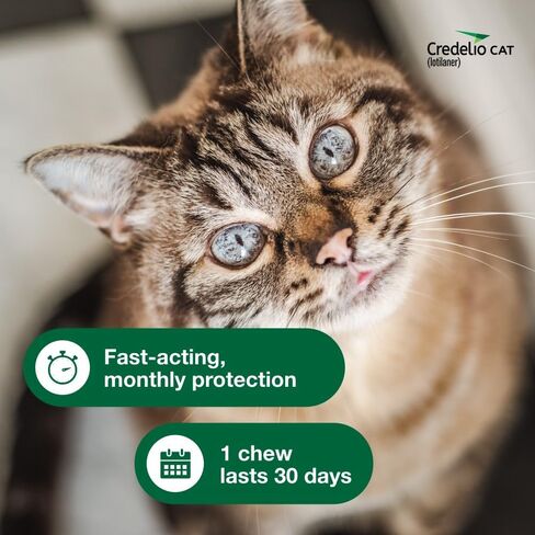 Credelio Cat Tick & Flea Prevention وعلاج Cats 4.1-17 رطل. | إمداد 1 شهر in Saudi Arabia