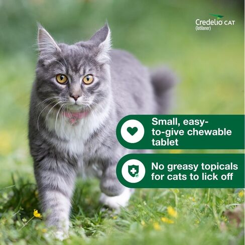 Credelio Cat Tick & Flea Prevention وعلاج Cats 4.1-17 رطل. | إمداد 1 شهر in Saudi Arabia