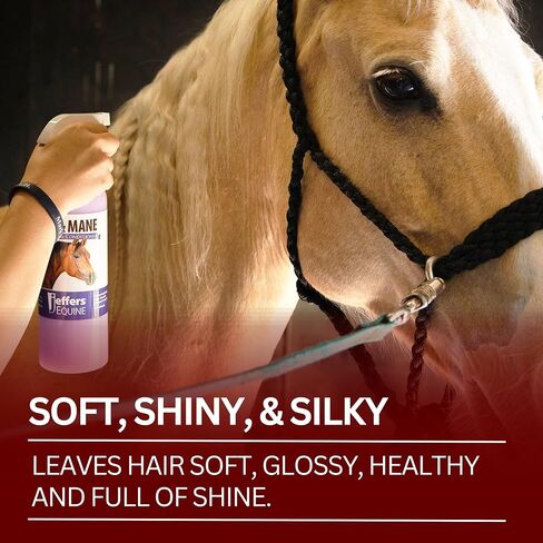 Jeffers Equine Tail & Mane Detangler & Depytorser للخيول ، جالون 1 - لينة ، لامعة وحريرية - يزيل العطر والتشابك ، والتحكم في تجعد ، وصيغة الحجم - صحية ، وخفيفة ونظيفة. in Saudi Arabia