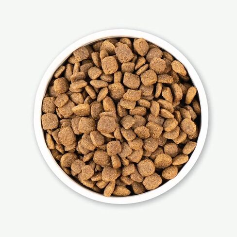 Earthborn Holistic Coastal Catch Dry Dog Food – with Herring Protein – Grain Free – Made in USA, 25 lb in Saudi Arabia