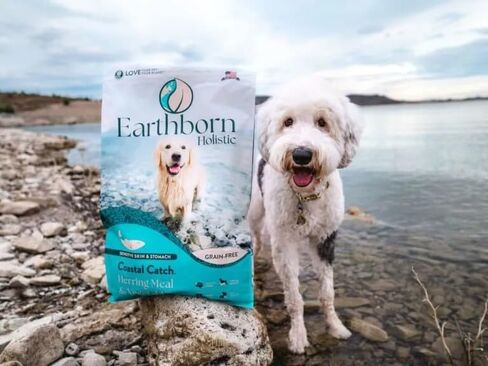 Earthborn Holistic Coastal Catch Dry Dog Food – with Herring Protein – Grain Free – Made in USA, 25 lb in Saudi Arabia