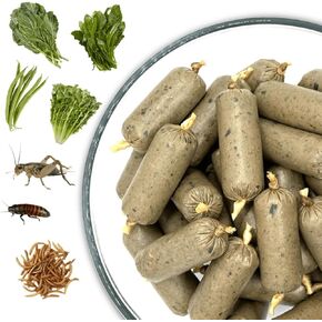 25/25/50 Omnivore Blend + Insects – Fresh Frozen Reptile Food for Bearded Dragons & Blue-Tongued Skinks – Whole Prey, Insects & Organic Greens (8-12g Links (40 Units))