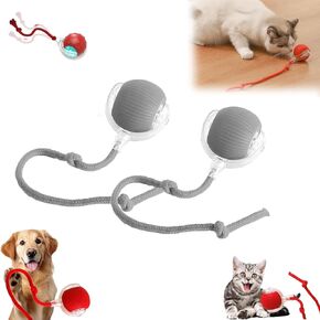 Rollraptor Interactive Pet Toy Ball, Electric Cat Ball Toy with Rope, Interactive Dog Smart Balls Toy, Automatic Rotating Rolling Ball, for Indoor Cats & Dogs