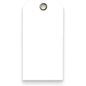 Tags 4 Less 15 Mil Blank Plastic Hang Tags – 2" x 4" Waterproof Heavy Duty Vinyl Labels for Outdoor Tagging, Equipment Labeling, Luggage, Valves & More (White, Pack of 100)