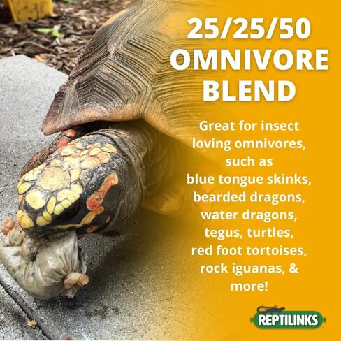 25/25/50 مزيج Omnivore + الحشرات-طعام الزواحف المتجمد الطازج للتنينات الملتحية والسكانينات ذات اللون الأزرق-فريسة كاملة ، حشرات وخضرة عضوية (8-12 جرام (40 وحدة)) in Saudi Arabia