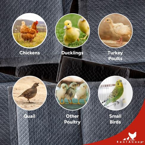 RentACoop Hatchling Liners for Little Red Barn Pack of 12 - Odor-Control Chick Brooder Pads - Absorbent, Leakproof Bedding for Baby Chicks, Ducklings, and More in Saudi Arabia