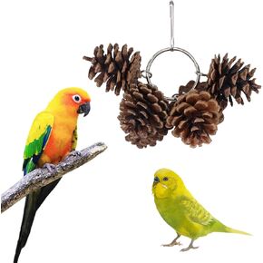 LWINGFLYER Parrot Chew Toy - Natural Pine Cones Parrot Chewing Toys Bird Toys with 6PCS Pine Cones Hangable Bird Cage Toy for Cage for Small and Medium-Sized Macaws, Cockatoos, Parakeet