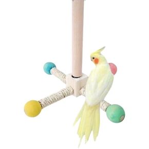 لعبة Parrot Spinner ， طواحين طواحين طواحين متعة تدوير تطحن الأسنان ، وقصة جوية للألغاز مناسبة للببغاوات الصغيرة والمتوسطة مثل Xuanfeng و Mudan و Tiger Skin