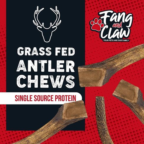 Fang & Claw Grass-Fed Deer Antlers for Dogs – 4-5" Antler Chews, 10-Pack – Long-Lasting Dog Chews for All Dogs & Aggressive Chewers in Saudi Arabia