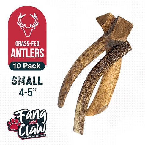 Fang & Claw Grass-Fed Deer Antlers for Dogs – 4-5" Antler Chews, 10-Pack – Long-Lasting Dog Chews for All Dogs & Aggressive Chewers in Saudi Arabia