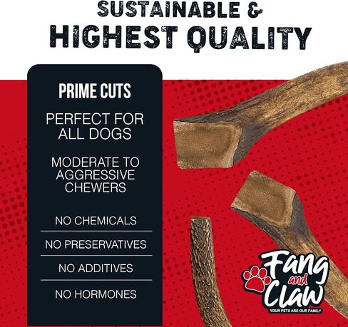Fang & Claw Grass-Fed Deer Antlers for Dogs – 4-5" Antler Chews, 10-Pack – Long-Lasting Dog Chews for All Dogs & Aggressive Chewers in Saudi Arabia