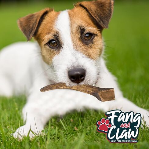 Fang & Claw Grass-Fed Deer Antlers for Dogs – 4-5" Antler Chews, 10-Pack – Long-Lasting Dog Chews for All Dogs & Aggressive Chewers in Saudi Arabia