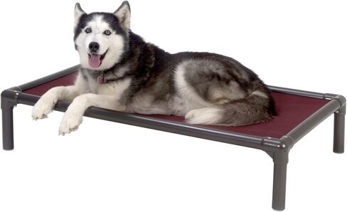 Kuranda Chewproof Dog Bed - Walnut PVC - 40" x 25" - Sunsure Textilene - Sierra in Saudi Arabia