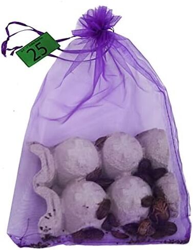 Josh's Frogs 3/4" - 1" Large Dubia Roaches (100 Count) in Saudi Arabia
