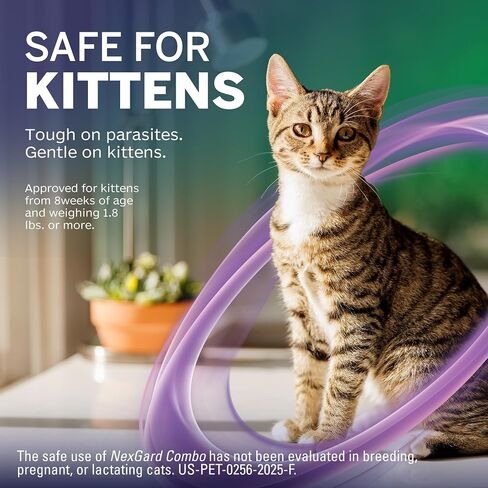 NexGard® Combo (esafoxolaner, eprinomectin, and praziquantel Topical Solution) Flea and Tick Protection Plus Heartworm Disease Preventive for Cats, 5.6-16.5 lbs. (Yellow Box) 6 Doses (6 Month Supply) in Saudi Arabia