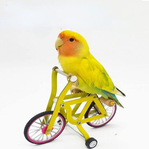Bird Intelligence Training Toy, Parrot Puzzle Bicycle Educational Table Top Trick Prop Foot Talon Toy for Lovebird Conures Parakeet in Saudi Arabia