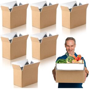 6 Pack Insulated Shipping Box Foil Cooler Carton Moving Kits for Mailing Packing Frozen Food(10.6 x 6.1 x 7.9 Inch,Brown)