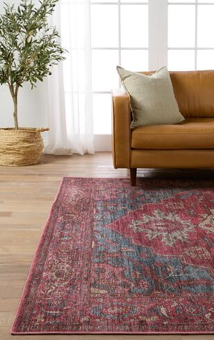 Jaipur Living Soft 4x6 Area Rug, Boho, Red/Blue in Saudi Arabia
