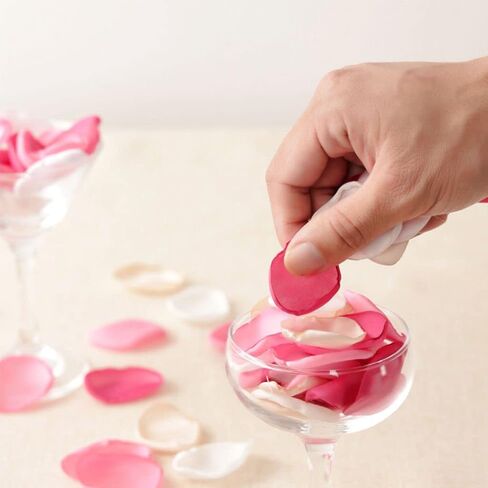 DJBM Silk Rose Petals 200PCS Flower Girl Scatter Petals for Wedding Flower Decoration Aubergine in Saudi Arabia
