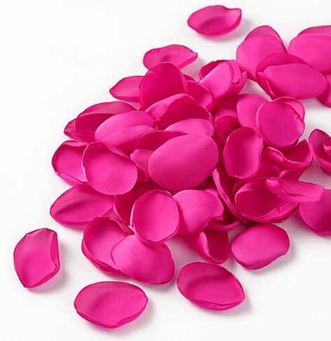DJBM Silk Rose Petals 200PCS Flower Girl Scatter Petals for Wedding Flower Decoration Aubergine in Saudi Arabia