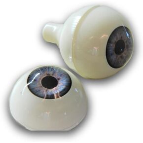 Dead Head Props Pair of Premium Realistic Life Size Acrylic Eyes for Halloween Props, Masks, Dolls or Bears (Blue 26mm)
