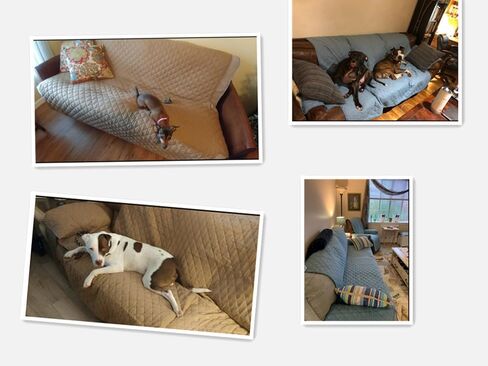 Waterproof Dog Cat Bed Blanket Cover Couch Furniture Protector, Reusable Changing Pad for The Old's or Baby Bed. in Saudi Arabia
