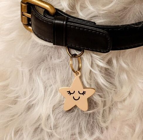 شخصية مخصصة لـ "Rose - Silver & Red" معرف PET وسحر طوق - علامات الكلاب المحفورة المخصصة للحيوانات الأليفة - النحاس الفاخر ، الطلاء الذهب in Kuwait