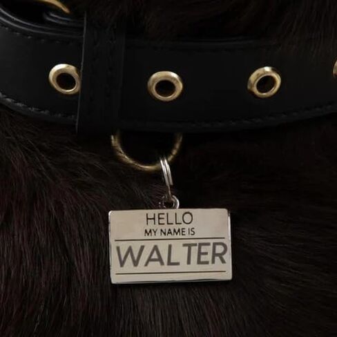 Personalized 'Rose - Silver & Red' Pet ID Tag & Collar Charm - Custom Engraved Dog Tags for Pets - Luxury Brass, Gold Plating in Saudi Arabia