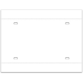 Temporary Paper Tags License Plates for Car Dealers - (11" × 6") Plain Heavy Duty 10 mil Coated Paper Tag for Auto Dealership - (Pack of 100)