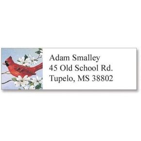 Cardinal Small Return Address Labels - Set of 240 2" x 5/8" Self-Adhesive, Flat-Sheet labels