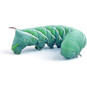 Hornworms aka Goliath Worms- 1/2" to 3/4"- 25/Cup for Reptile, Birds, Chickens, Fish Food by Abdragons
