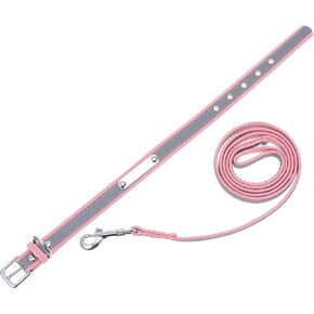 Totority 1set Reflective Dog Leash and Collar for Pets Soft Easy Use Walking Gear for Nighttime Safety Includes Leash and Comfortable Collar