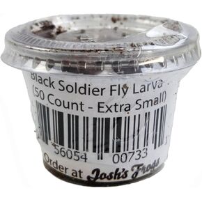 Josh's Frogs Black Soldier Fly Fly (50 Count - Extra Small)
