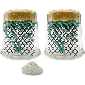 Oregon Silkworms: 50+ Hornworms | Guaranteed Healthy Arrival | Free 1oz Powdered Chow Included