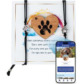 Dog Memorial Bracelet for Loss of Dog, Dog Death Sympathy Gifts, Pet Loss Sympathy Gift, Dog Bracelets for Women, Dog Passing Away Gifts, Pet Memorial Gifts