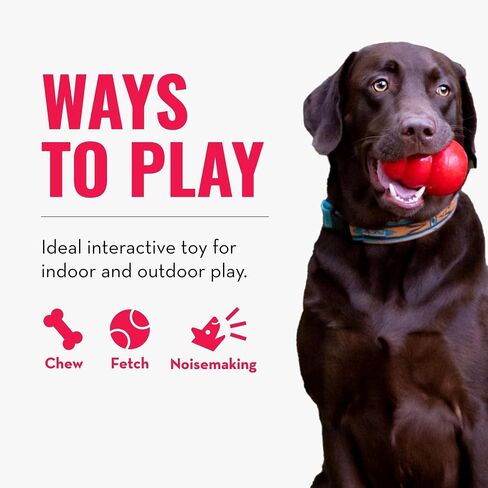KONG Maxx Bone Md/Lg in Saudi Arabia