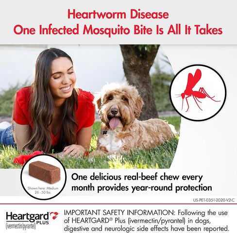 Heartgard® Plus (Idermectin/Pyrantel) مضغ البيئة الحقيقية للكلاب التي يصل إلى 25 رطلاً (الصندوق الأزرق) 6 أشهر من المضغ (أمراض القشرة الوقائية) in Saudi Arabia