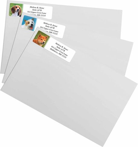 Modern Dogs Rolled Address Labels/Roll of 250 Personalized Return Address Labels/Designer Return Address Stickers in Elegant Plastic Dispenser in Kuwait