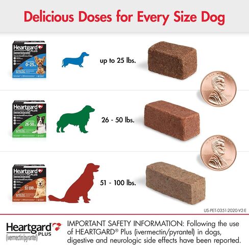 Heartgard® Plus (Idermectin/Pyrantel) مضغ البيئة الحقيقية للكلاب التي يصل إلى 25 رطلاً (الصندوق الأزرق) 6 أشهر من المضغ (أمراض القشرة الوقائية) in Saudi Arabia