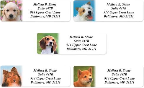 Modern Dogs Rolled Address Labels/Roll of 250 Personalized Return Address Labels/Designer Return Address Stickers in Elegant Plastic Dispenser in Kuwait