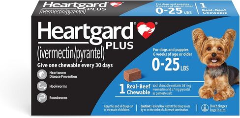 Heartgard® Plus (Idermectin/Pyrantel) مضغ البيئة الحقيقية للكلاب التي يصل إلى 25 رطلاً (الصندوق الأزرق) 6 أشهر من المضغ (أمراض القشرة الوقائية) in Saudi Arabia