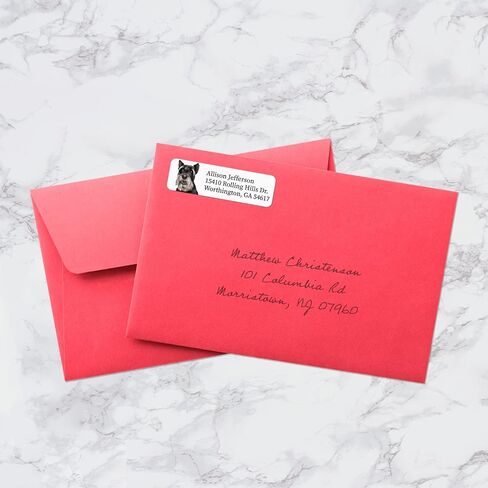 Modern Dogs Rolled Address Labels/Roll of 250 Personalized Return Address Labels/Designer Return Address Stickers in Elegant Plastic Dispenser in Kuwait