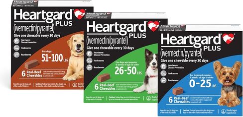 Heartgard® Plus (Idermectin/Pyrantel) مضغ البيئة الحقيقية للكلاب التي يصل إلى 25 رطلاً (الصندوق الأزرق) 6 أشهر من المضغ (أمراض القشرة الوقائية) in Saudi Arabia