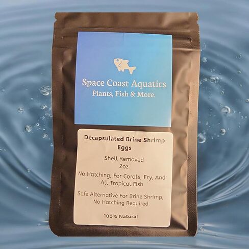 Decapsulated (Shell Removed) Brine Shrimp Eggs, Straight to Feeding, No Hatching for Corals, Fry, Babies All Small Tropical Fish in Saudi Arabia