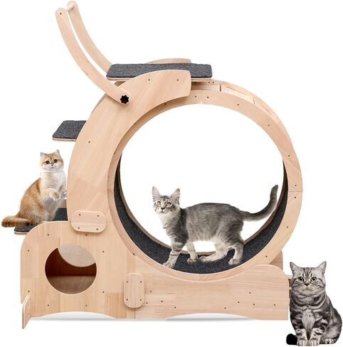 Cat Wheel 7-in-1 Upgraded Exercise Treadmill for Indoor Cats，Cat Treadmill with Silent Running Wheel, Cat Tunnel, Cat Wheels for Indoor Cats, Perfect Cat Jym & Toy for Endless Fun & Fitness in Kuwait