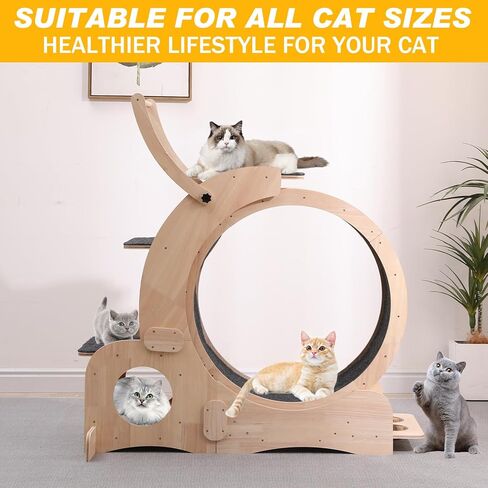 Cat Wheel 7-in-1 Upgraded Exercise Treadmill for Indoor Cats，Cat Treadmill with Silent Running Wheel, Cat Tunnel, Cat Wheels for Indoor Cats, Perfect Cat Jym & Toy for Endless Fun & Fitness in Kuwait
