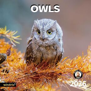 2026 Wall Calendar,Calendar 2026, July 2025 - December 2026, Wall Calendar Owls, 12" x 24" Opened,Full Page Months Thick & Sturdy Paper for Gift Perfect Calendar Organizing & Planning