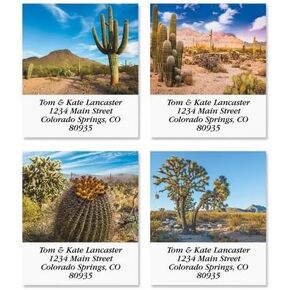 In The Desert Square Return Address Labels (4 Designs) - Set of 144 1-1/8" x 2-1/4" Self-Adhesive, Flat-Sheet label