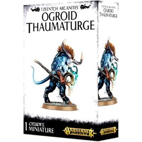 Games Workshop Warhammer Age of Sigmar Tzeentch Arcanites Ogroid Thaumaturge